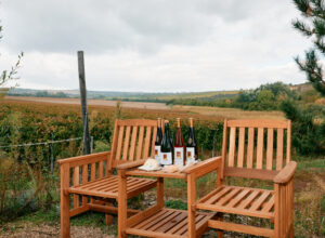 A wooden house with a table on which there are bottles of wine and cheese, in the middle of a winery