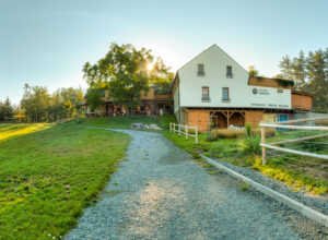 Arrival at Samsara Farm