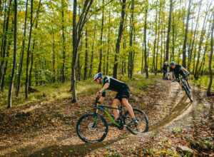 Three cyclists riding a single trail in the forest between green trees