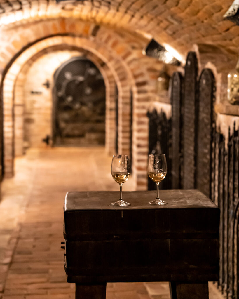 Wine glasses placed on a table in the Valtice underground